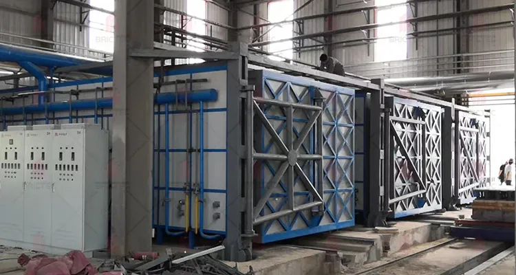 Shuttle Kiln for Clay Brick Making in Clay Block Factory and Tunnel Kiln in Clay Brick Making 6