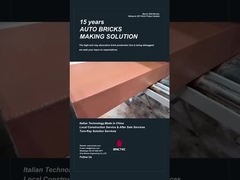 راه اندازی خط تولید آجر تزئینی Brictec